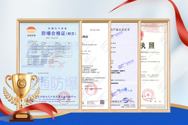 �����J�C�Y�|�C���D